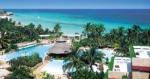 Sol Palmeras - 1