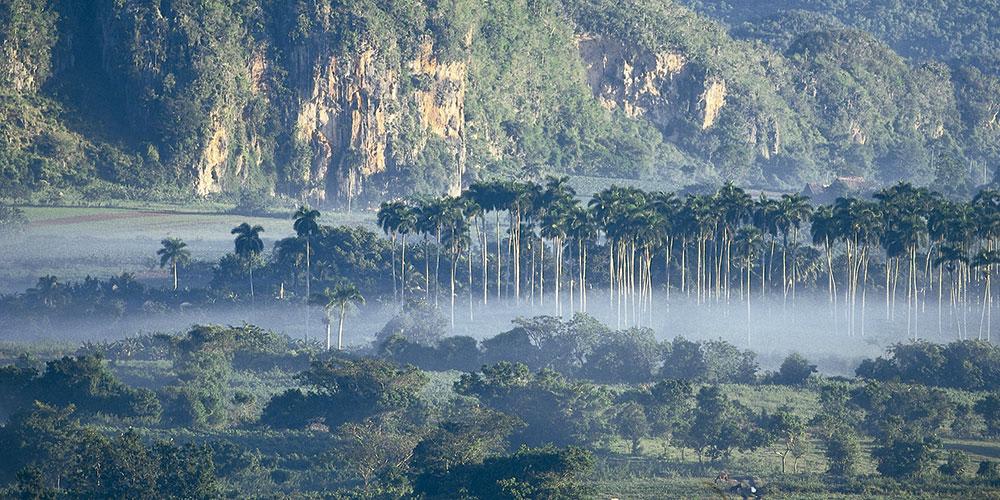 Valle de Pinar del Río