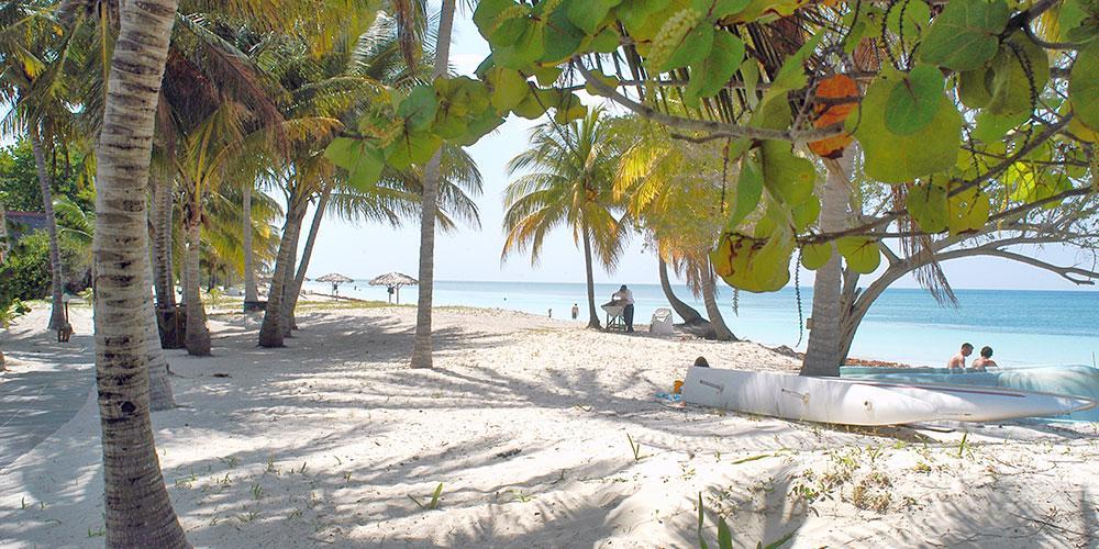 Cayo Levisa
