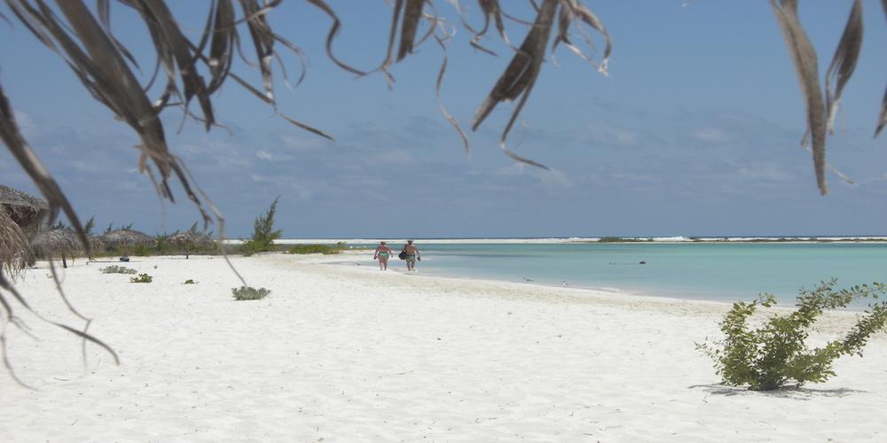 Playa 4