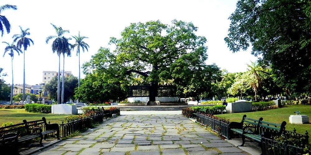 Parque de la Fraternidad