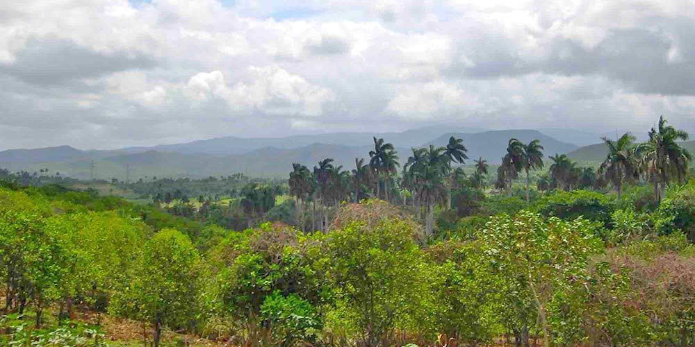 Sierra de Cristal