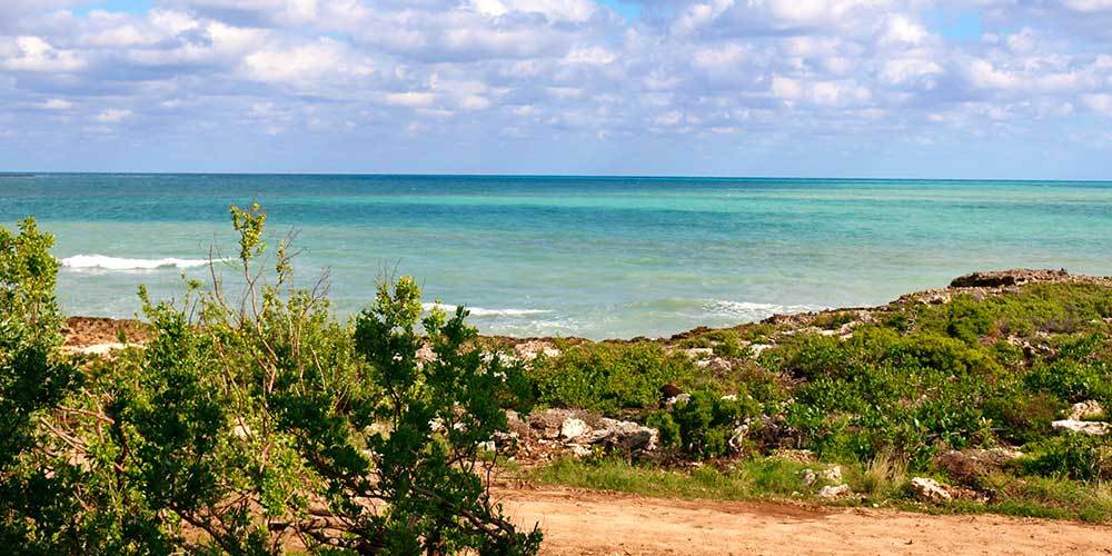 Cayo Guillermo
