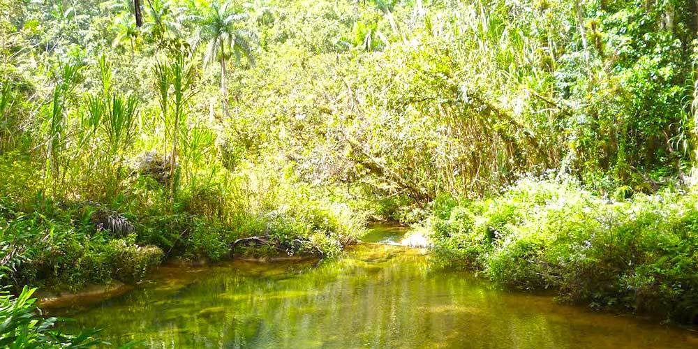 Charco azul